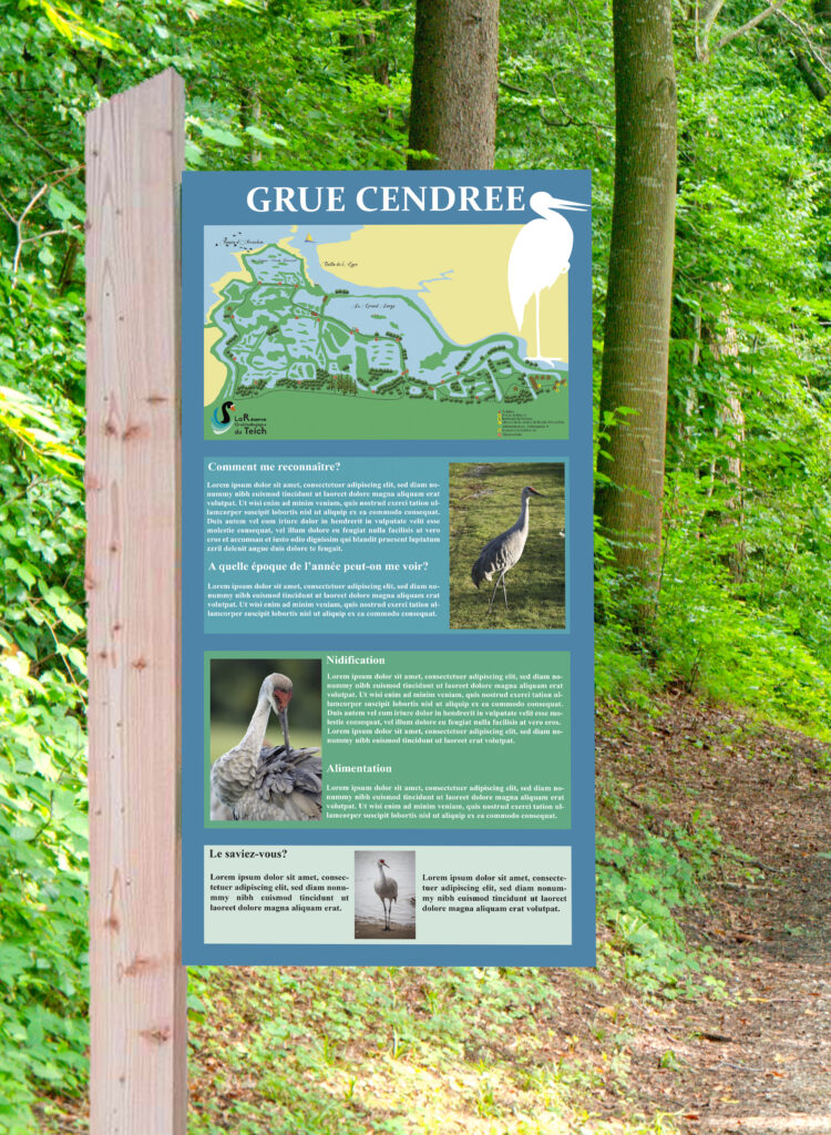 Design Panneau oiseau, La réserve Ornithologique du Teich